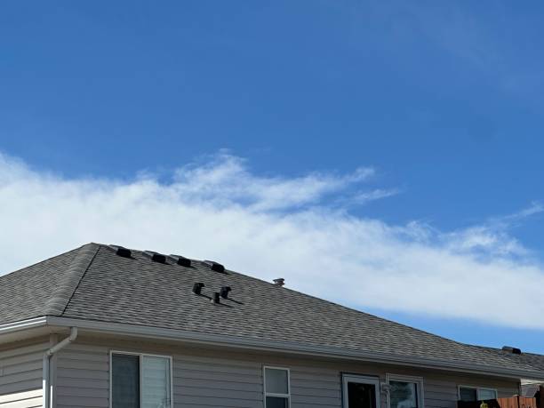 Fast & Reliable Emergency Roof Repairs in Atascadero, CA